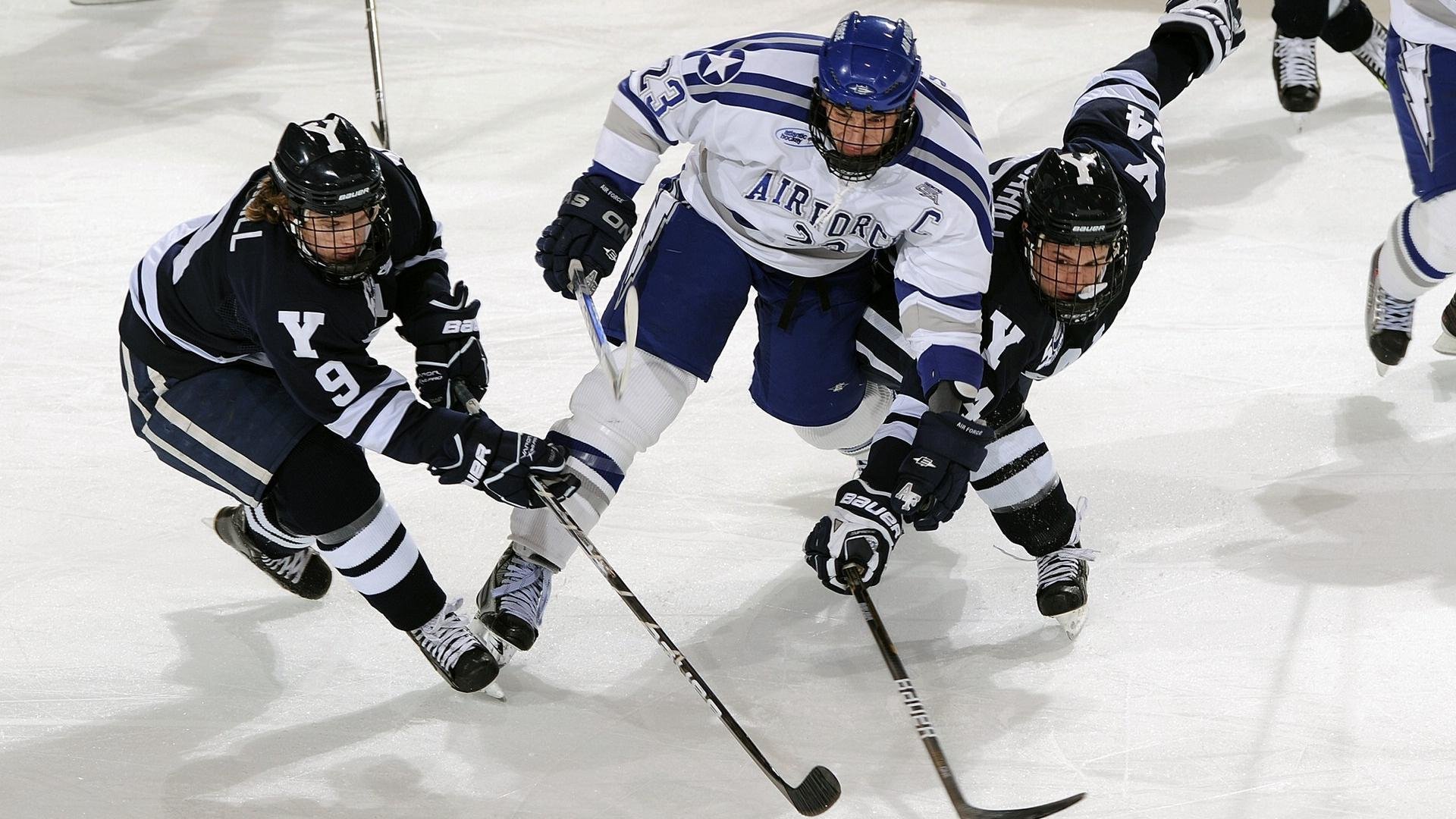 节奏大师，从森林狼的胜利法则到范弗利特的绿茵掌控术