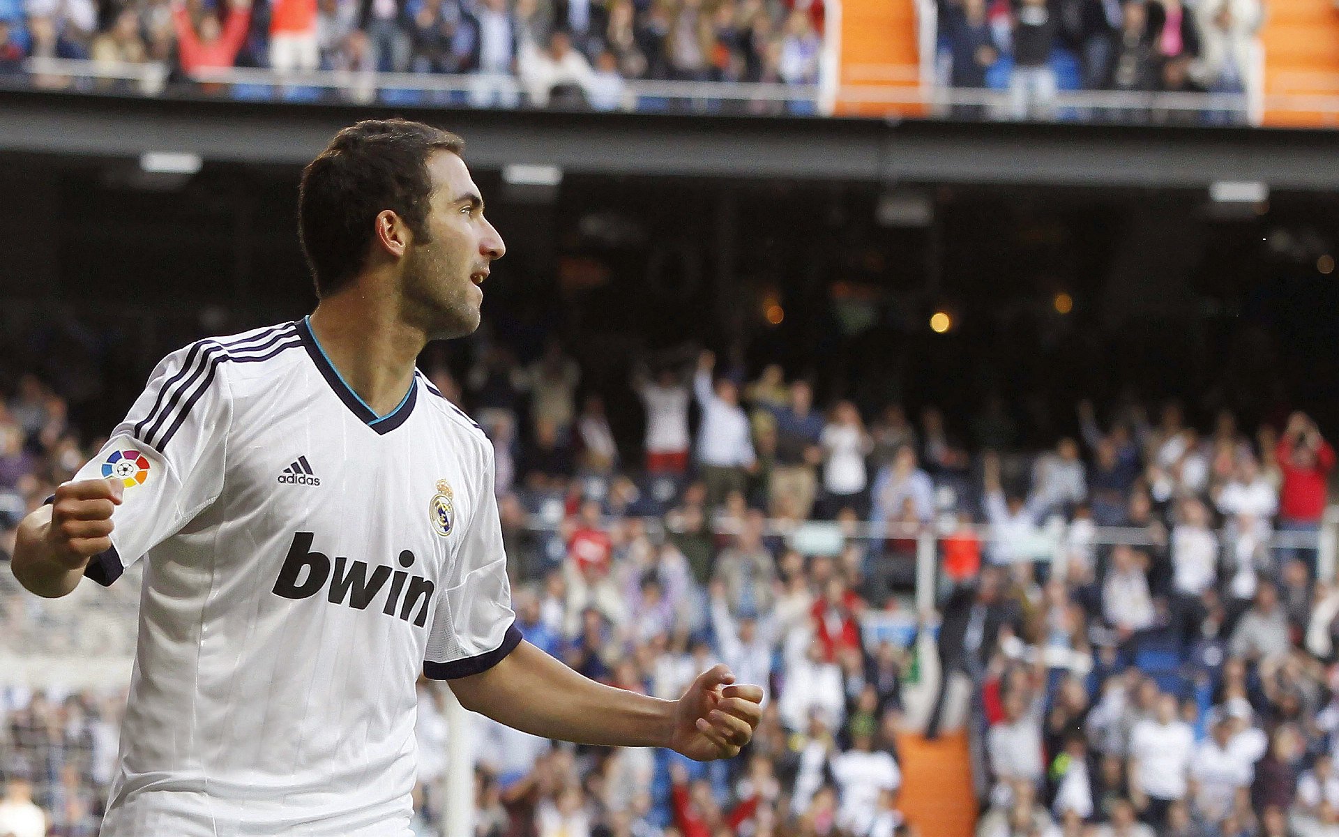 骑士的远征与巨龙的觉醒，当绝杀成为信仰